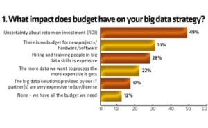 Budget impact big data